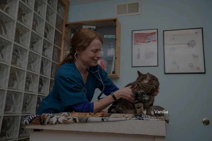 Windy Hollow Veterinary Clinic 10