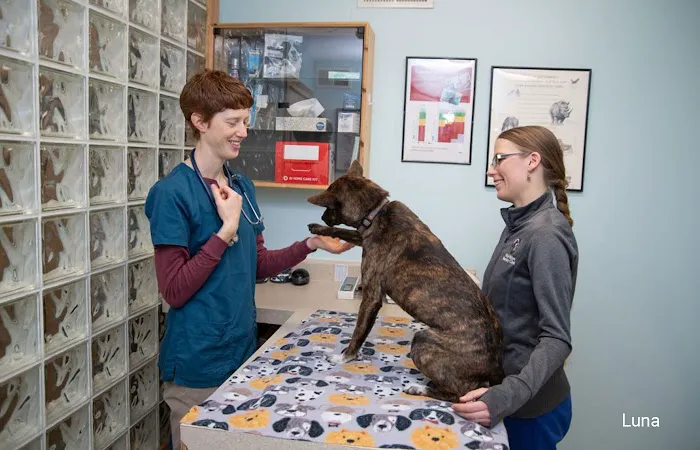 Windy Hollow Veterinary Clinic 7
