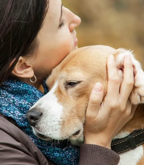Whispering Willow Home Euthanasia 5