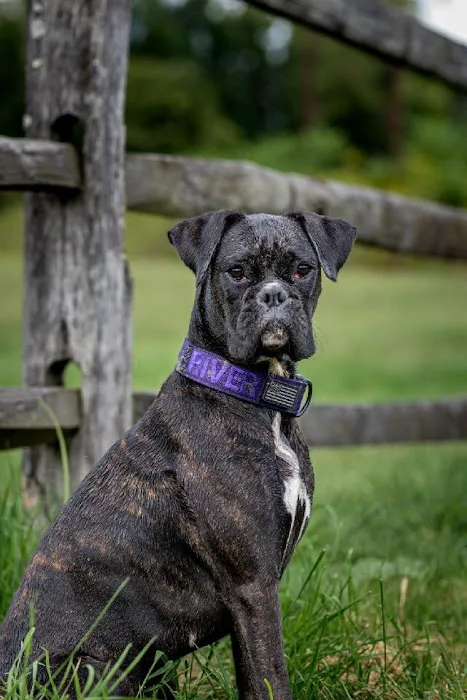 Trailside Veterinary Services 5