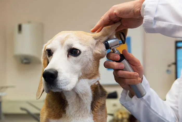 Trailside Veterinary Services 10