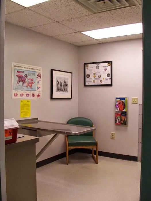 VCA Wickaboag Animal Hospital 3