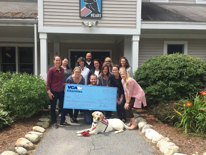 VCA Wickaboag Animal Hospital 6