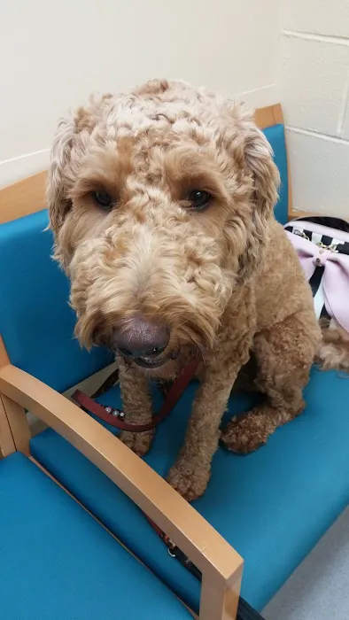 VCA Wickaboag Animal Hospital 1
