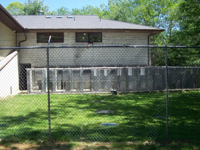 VCA Wickaboag Animal Hospital 7