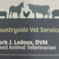 Countryside Vet Service ico