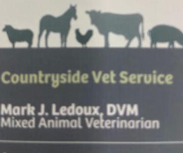 Countryside Vet Service
