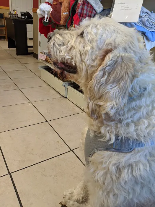 Second Chance Animal Services Community Veterinary Hospital 4