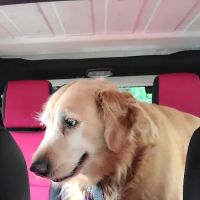Second Chance Animal Services Community Veterinary Hospital ico