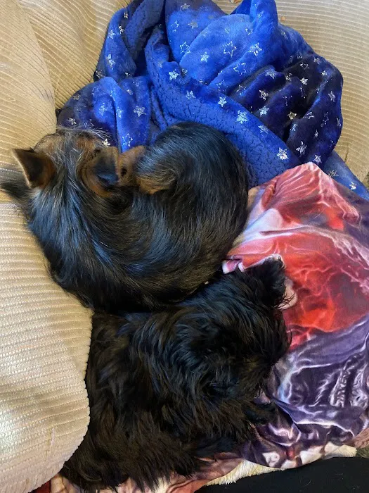 Spencer Veterinary Hospital, LLC 10