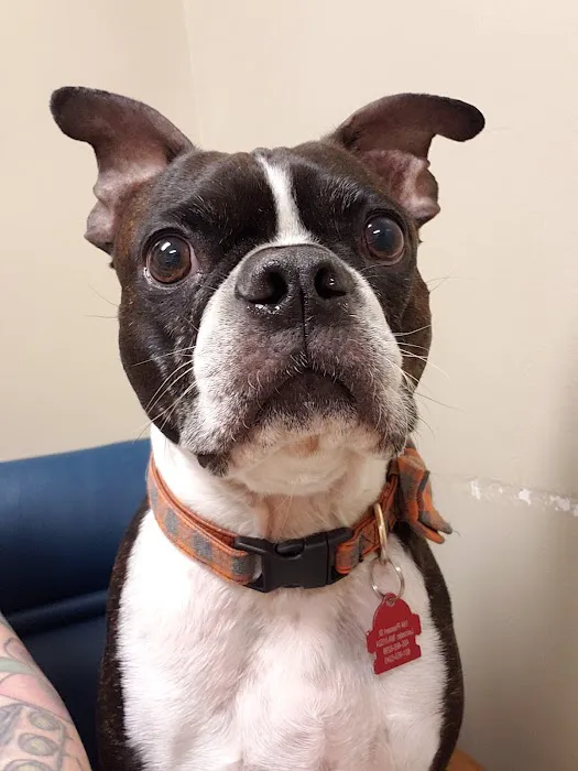 Spencer Veterinary Hospital, LLC 8