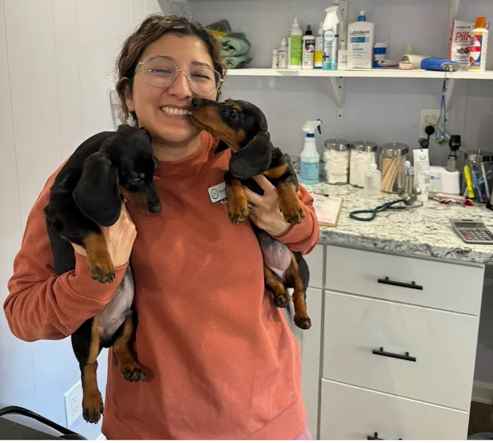 Rutland Veterinary Clinic 9