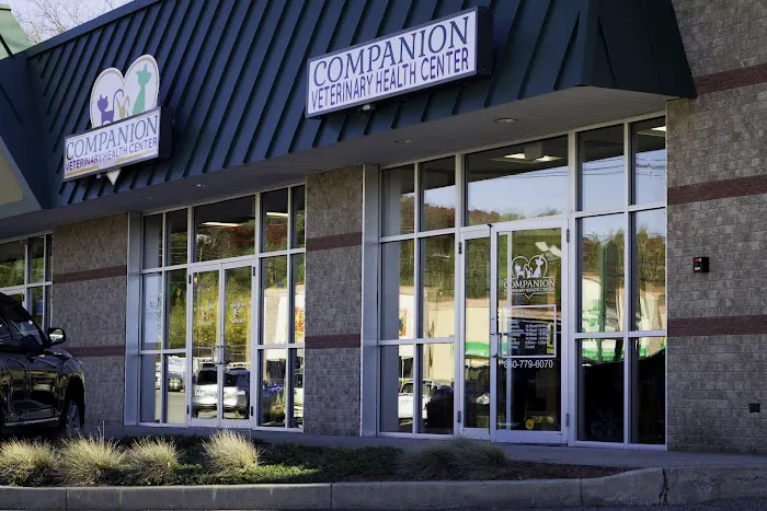 Companion Veterinary Health Center 3