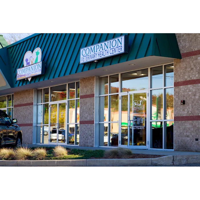 Companion Veterinary Health Center 10
