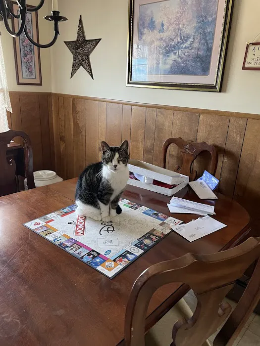 Animal Care Experts Veterinary Hospital 6