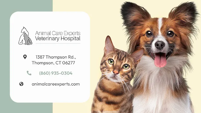 Animal Care Experts Veterinary Hospital 7