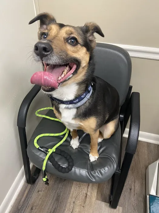 Animal Hospital Of Webster 5