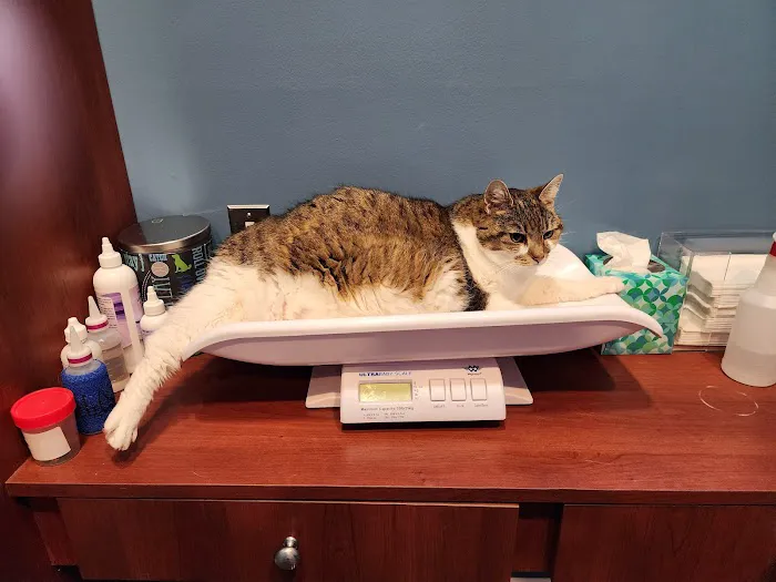 Chariho Animal Hospital 6