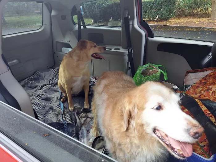 Chariho Animal Hospital 5