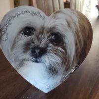Housecall Animal Medical Care ico