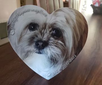 Housecall Animal Medical Care