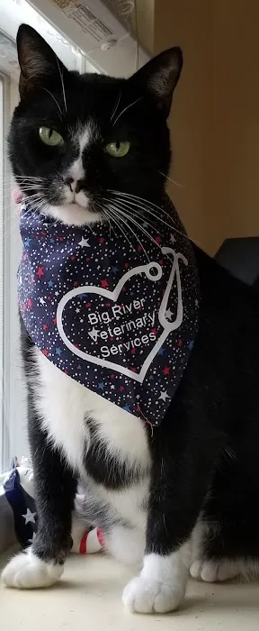 Big River Veterinary Service 1