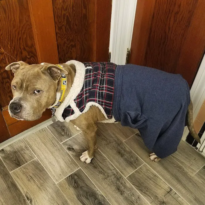 Big River Veterinary Service 5