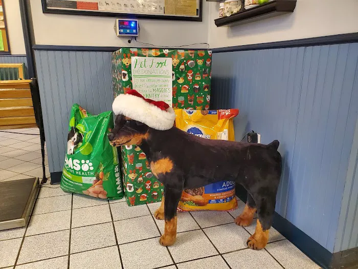 Atlantic Animal Hospital & Wellness Center 7