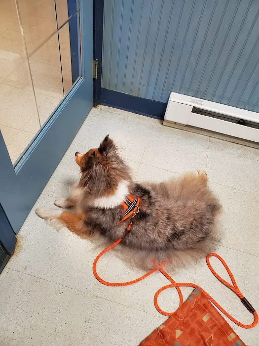 Atlantic Animal Hospital & Wellness Center 5