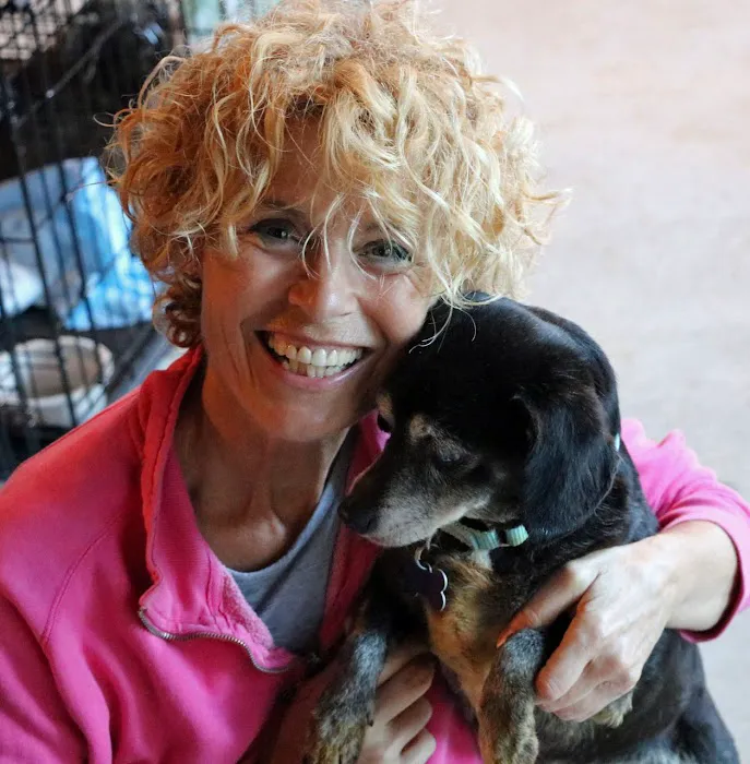 Rhode Island Pet Rehab 10