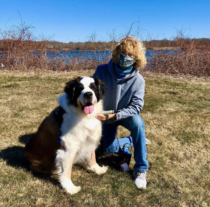 Rhode Island Pet Rehab 8