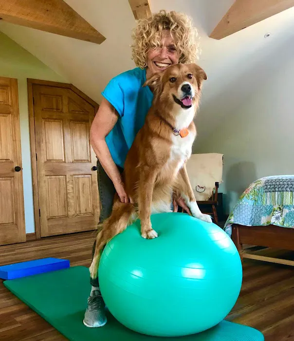 Rhode Island Pet Rehab 6