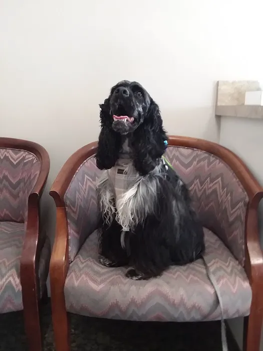 Coventry Animal Hospital 6