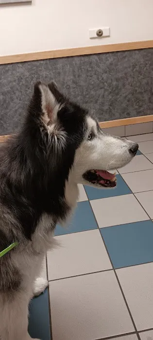 Tiogue Veterinary Clinic 3