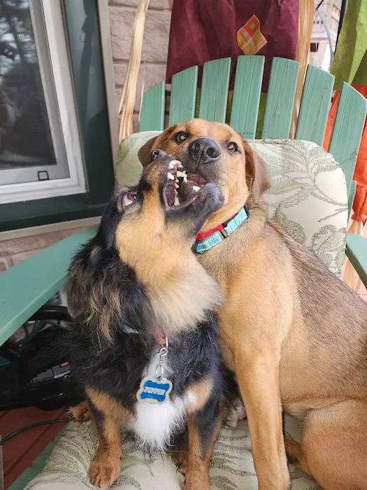 Corinth Veterinary Clinic 7