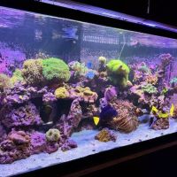 Aquarium Artistry LLC ico