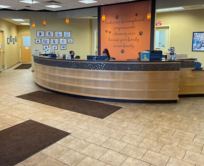 VCA Fairmount Animal Hospital 10