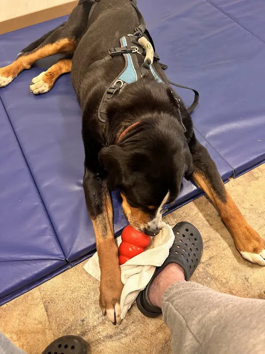 Liverpool Animal Health Center 7