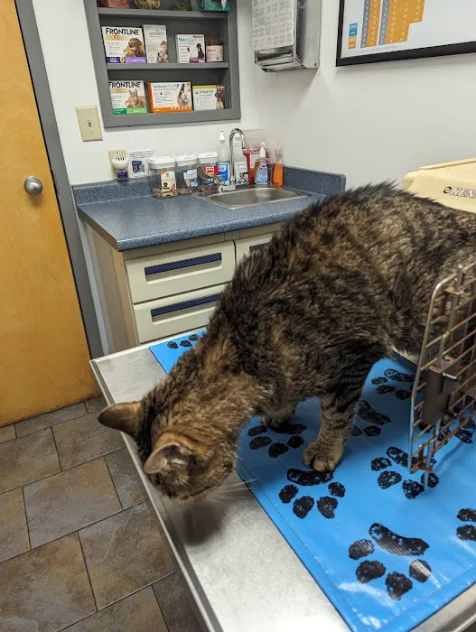 Liverpool Animal Health Center 8