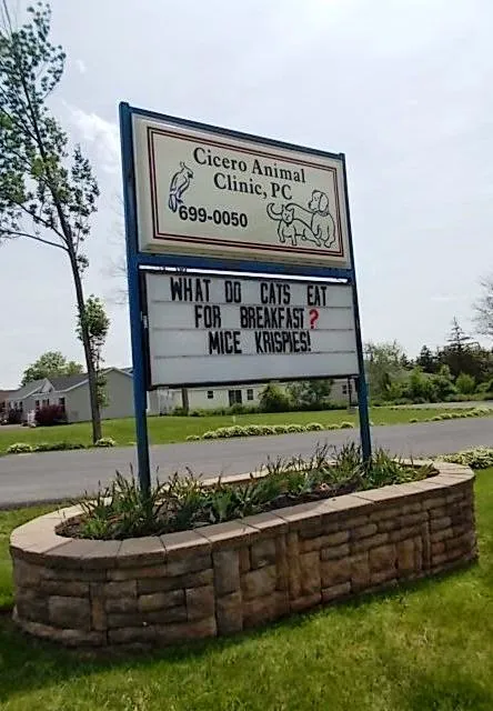 Cicero Animal Clinic, P.C 8