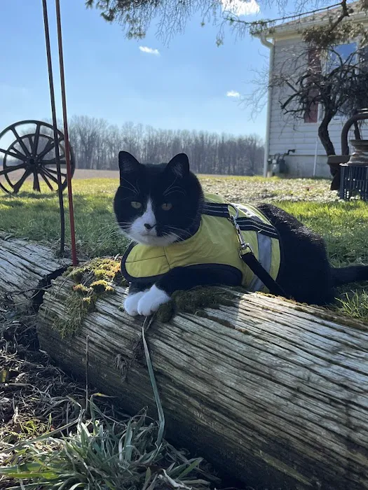 Brewerton Hospital for Animals 2