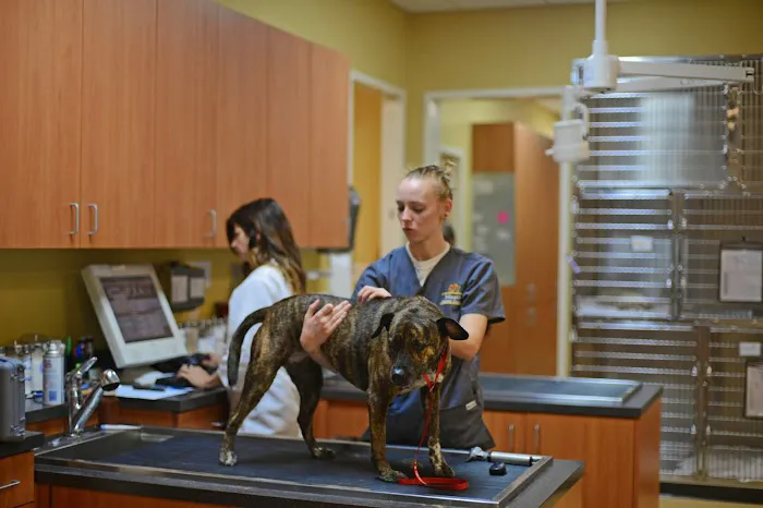 Atlantic Animal Hospital and Pet Care Resort 10