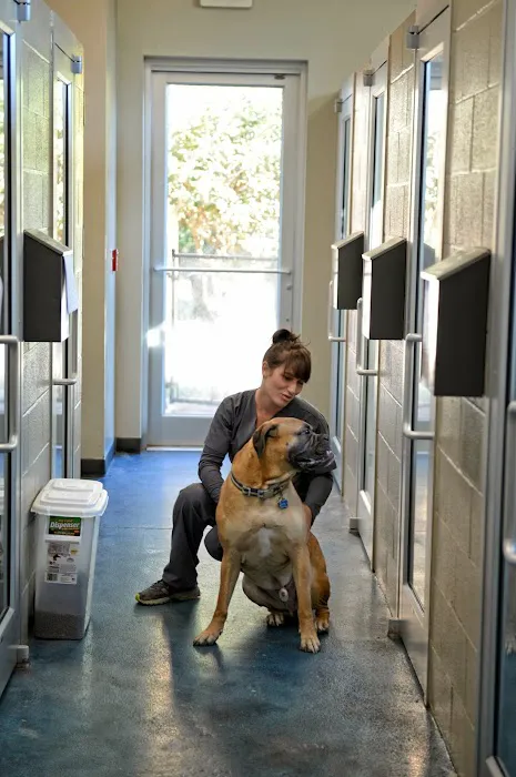 Atlantic Animal Hospital and Pet Care Resort 1