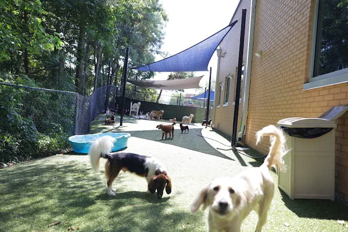 Atlantic Animal Hospital and Pet Care Resort 8