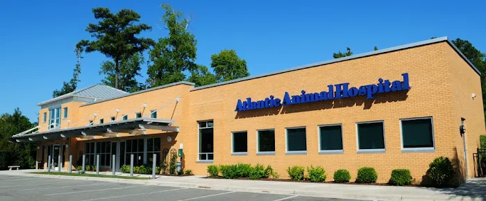 Atlantic Animal Hospital and Pet Care Resort 4