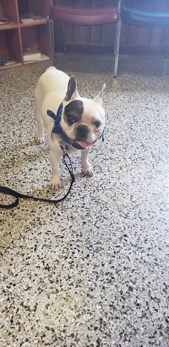 Leonard-Sykes Hospital for Pets 5
