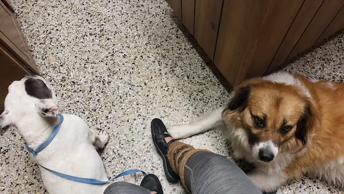 Leonard-Sykes Hospital for Pets 6