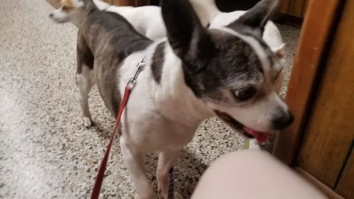 Leonard-Sykes Hospital for Pets 8