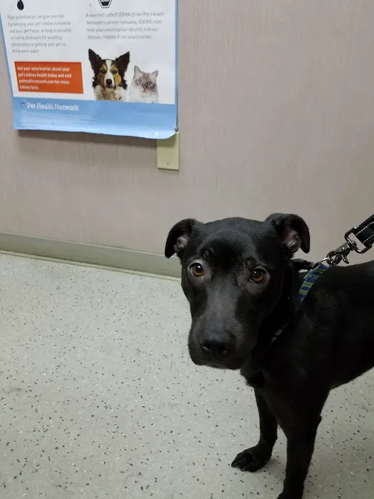Dineen Animal Hospital 6