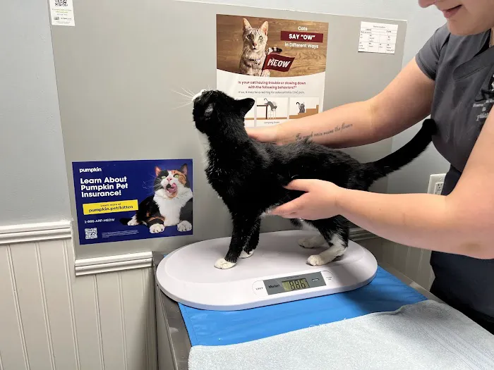 Hanover Regional Animal Hospital 4